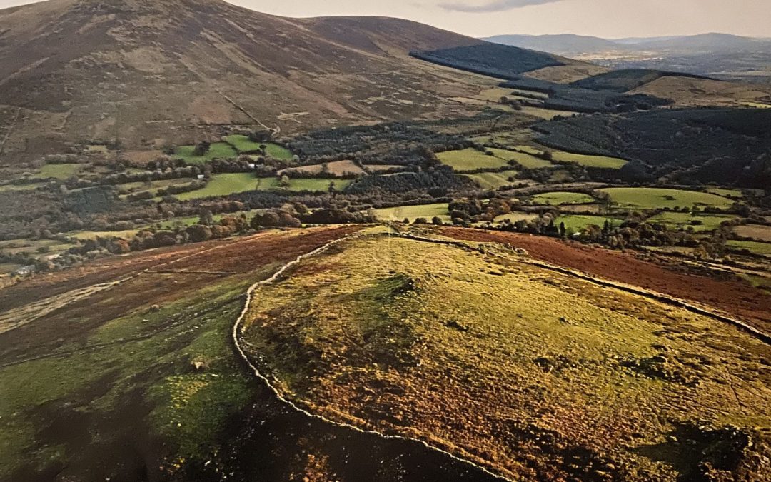 Lecture on recent excavations at Brusselstown
