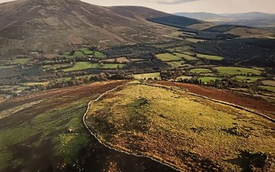 Lecture on recent excavations at Brusselstown