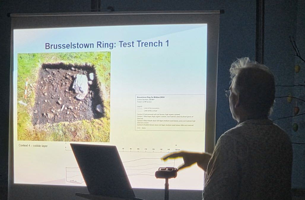 Recent excavations at Brusselstown Hillfort