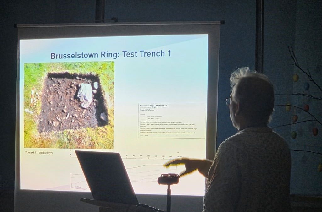 Lecture on recent excavations at Brusselstown