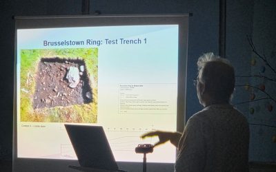 Lecture on recent excavations at Brusselstown
