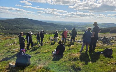 Observing excavations at Brusselstown Ringfort
